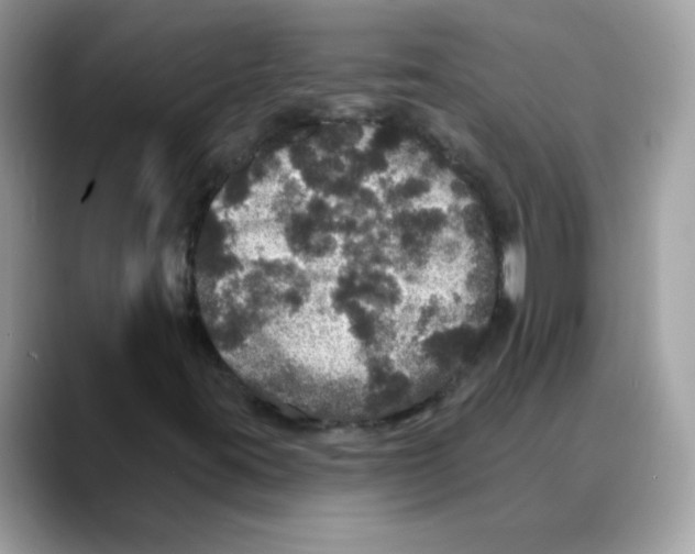 X0000088141395200706111417