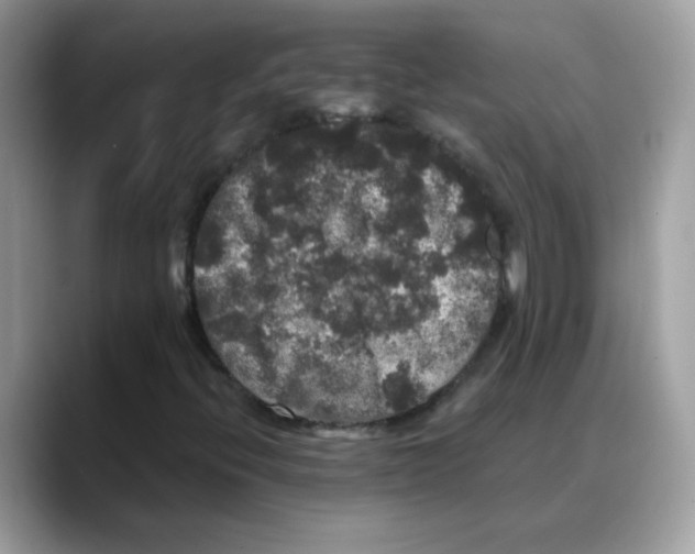 X0000088141396200706111417