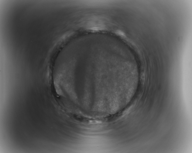 X0000088141398200706111417