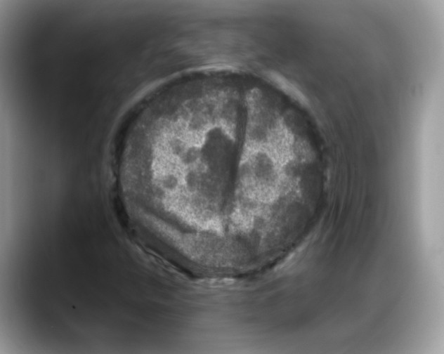 X0000088141400200706111417