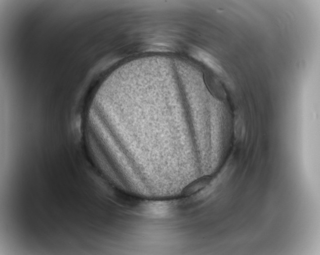 X0000088141402200706111417