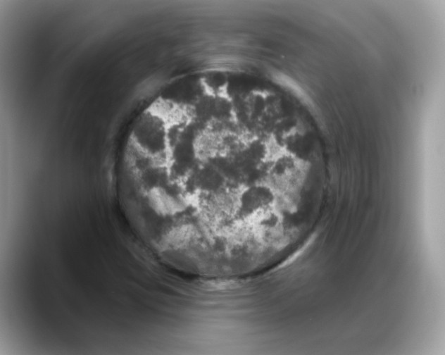 X0000088141403200706111417