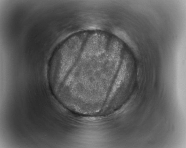 X0000088141404200706111417