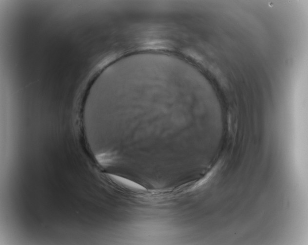 X0000088141405200706111417