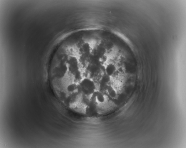 X0000088141407200706111417