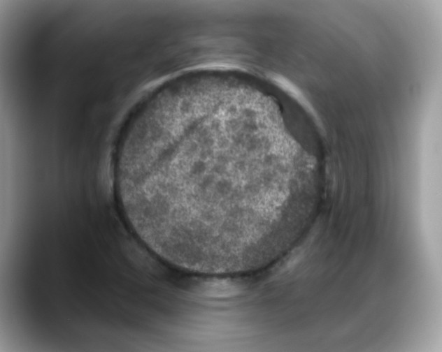 X0000088141408200706111417