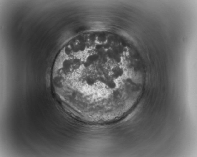 X0000088141409200706111417