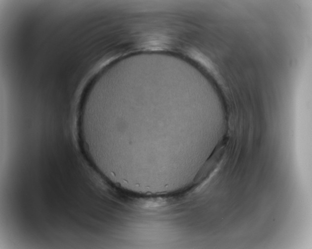 X0000088141410200706111417