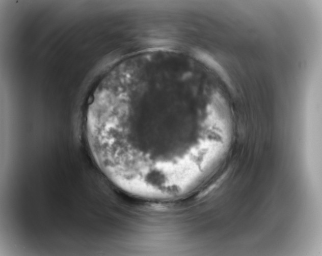 X0000088141411200706111417