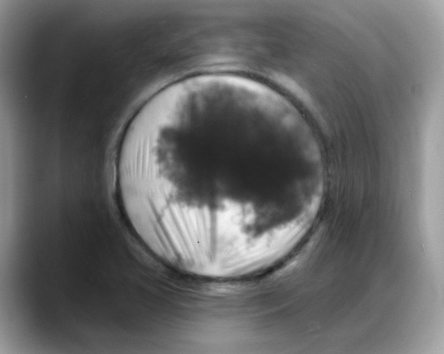 X0000088141413200706111417