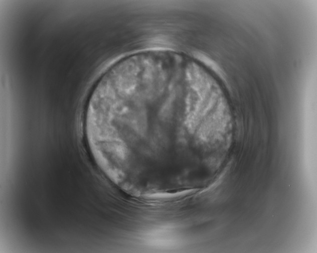 X0000088141415200706111417