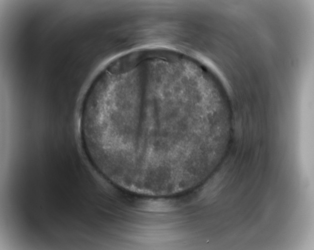 X0000088141416200706111417