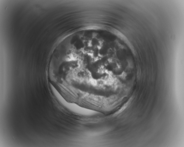 X0000088141417200706111417