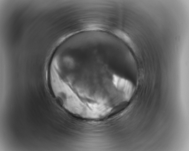 X0000088141419200706111417