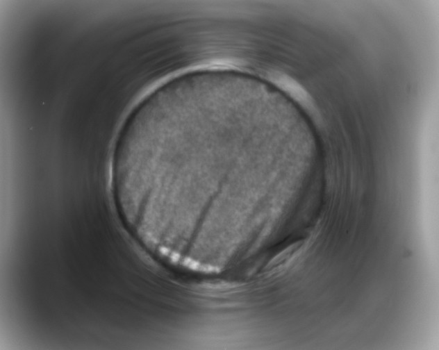 X0000088141420200706111417