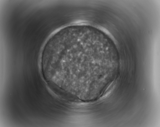 X0000088141421200706111417