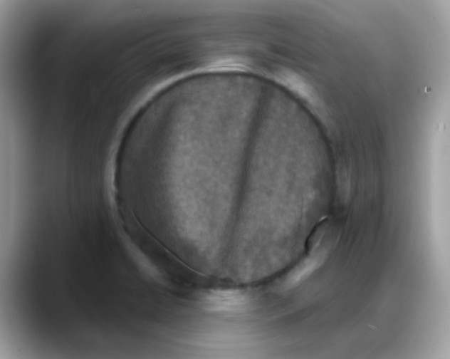 X0000088141422200706111417