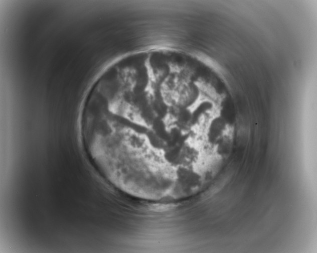 X0000088141423200706111417