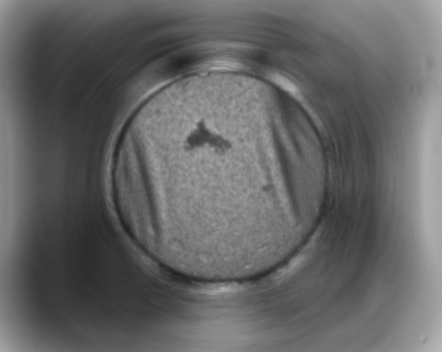 X0000088141426200706111417