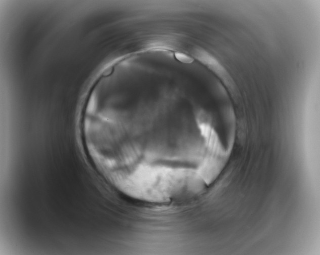 X0000088141427200706111417