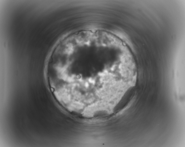 X0000088141429200706111417