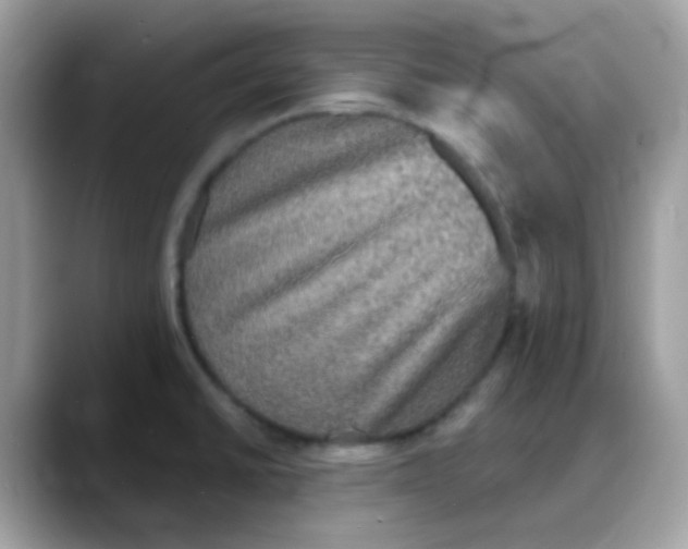 X0000088141430200706111417