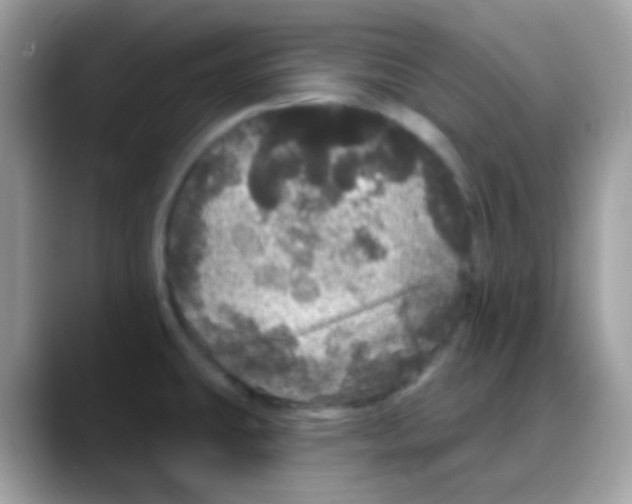 X0000088141431200706111417