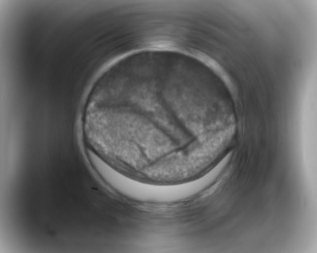 X0000088141432200706111417