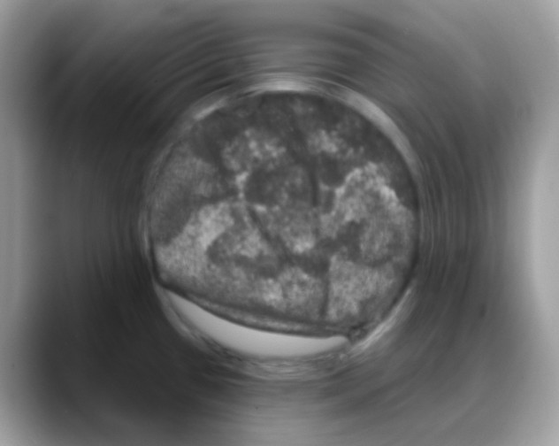 X0000088141433200706111417