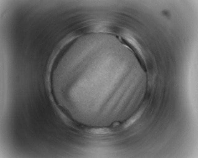 X0000088141434200706111417