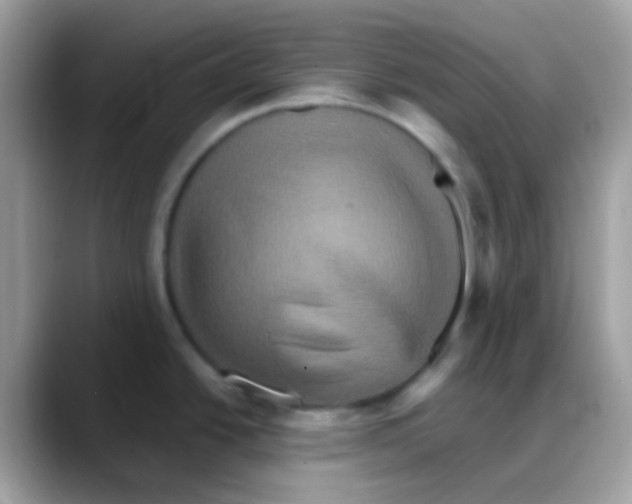 X0000088141438200706111417