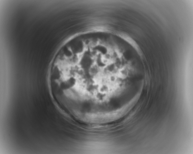 X0000088141439200706111417