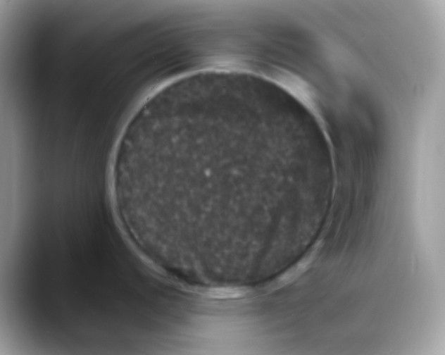 X0000088141440200706111417