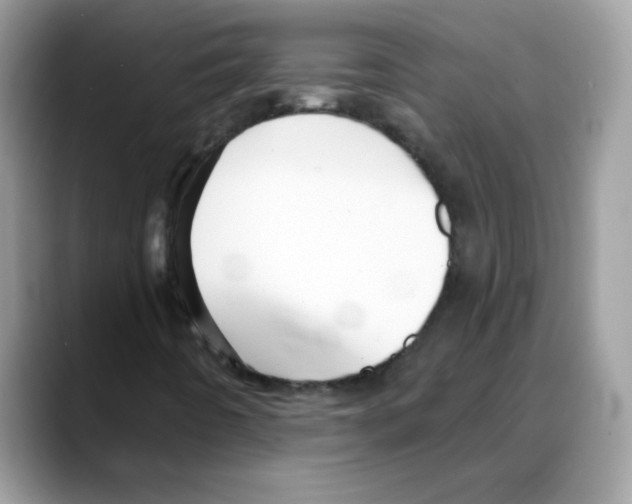 X0000088141442200706111417