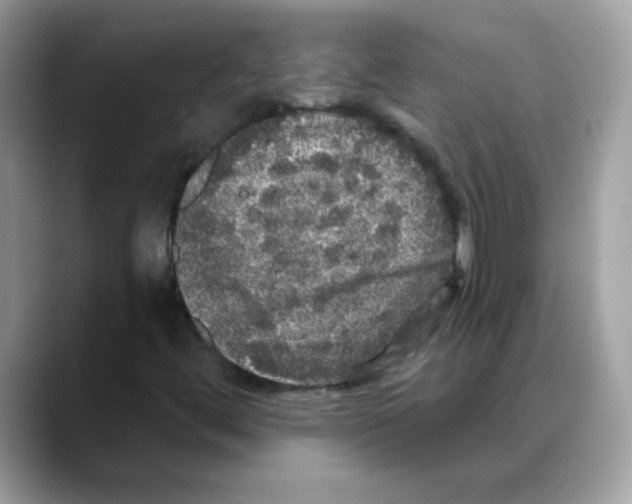 X0000088141444200706111417