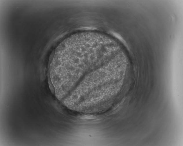 X0000088141448200706111417