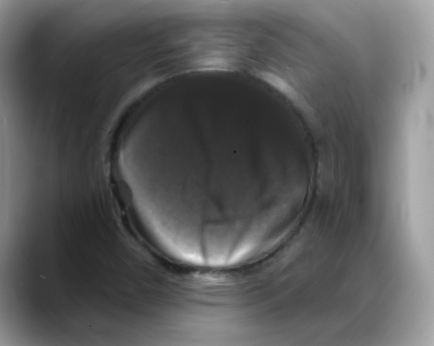 X0000088141450200706111417