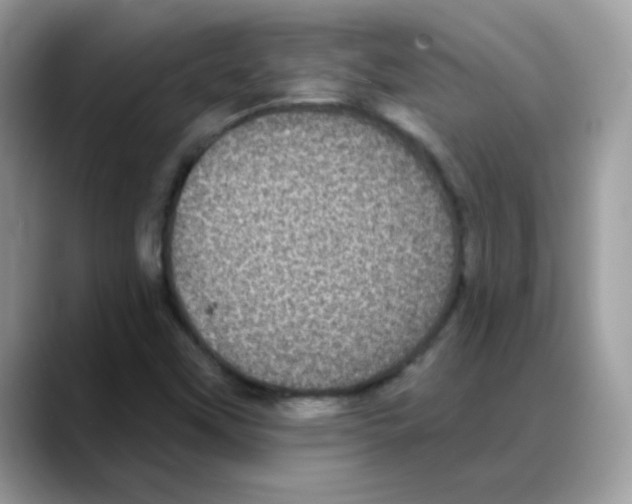 X0000088141451200706111417