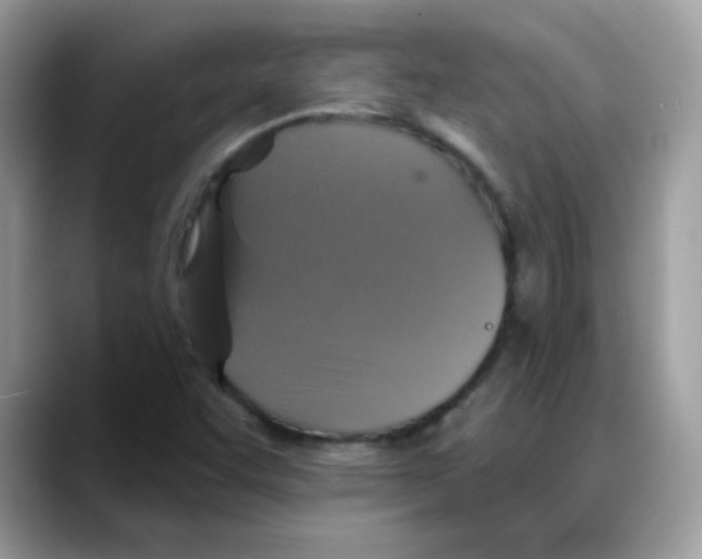 X0000088141455200706111416