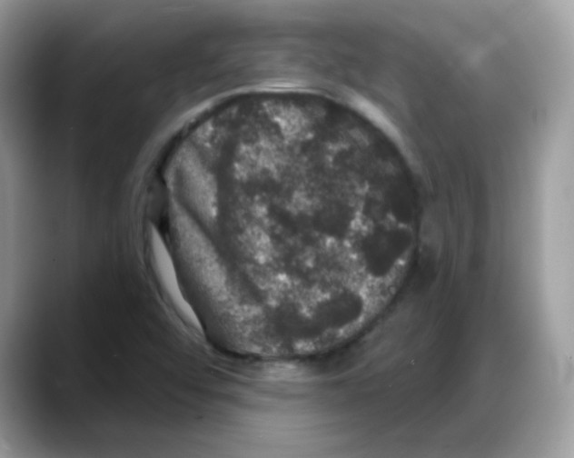 X0000088141456200706111416