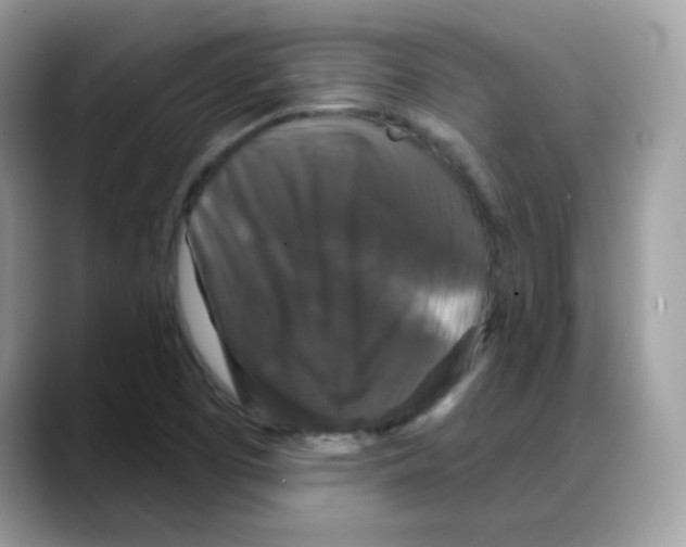 X0000088141457200706111416