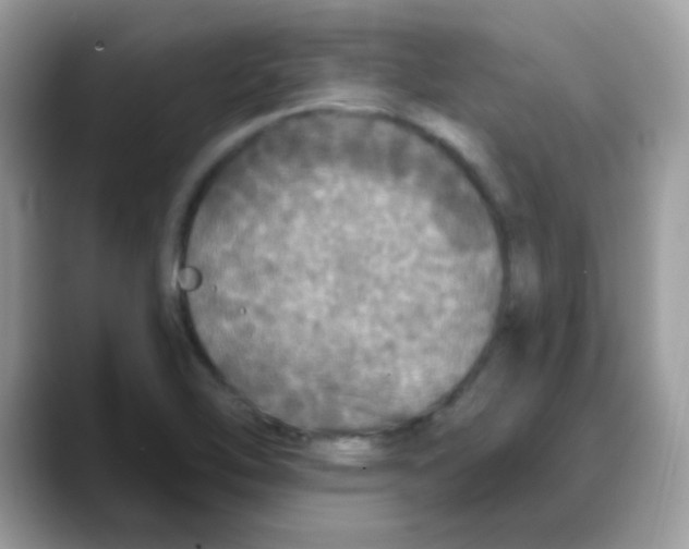 X0000088141462200706111416