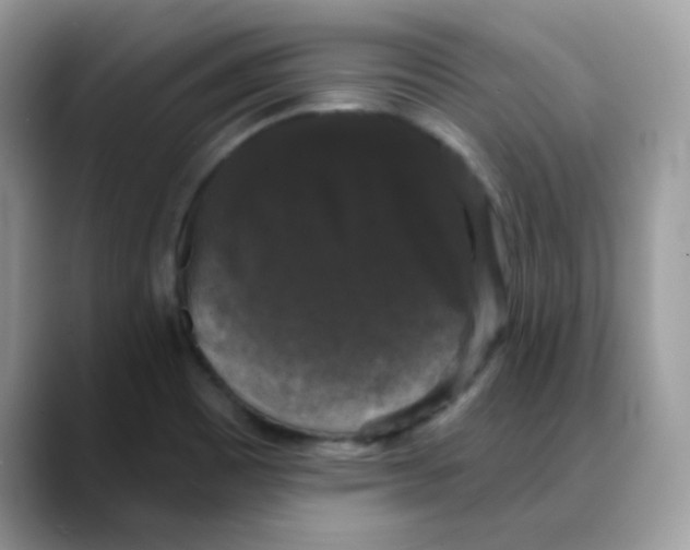 X0000088141465200706111416