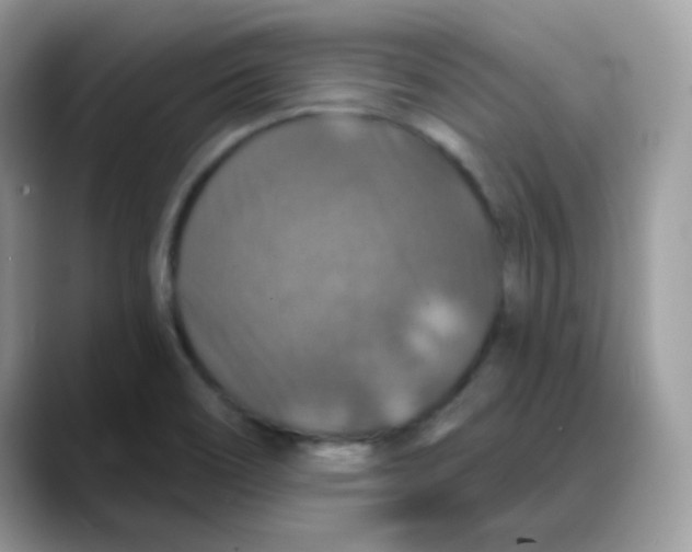 X0000088141466200706111416