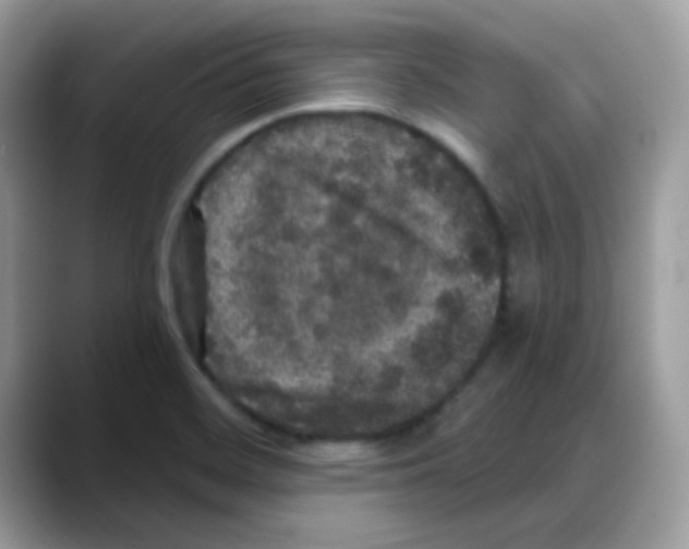 X0000088141468200706111416