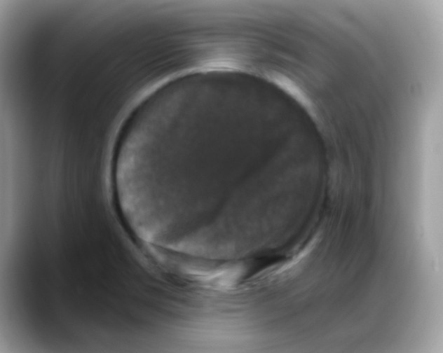 X0000088141469200706111416