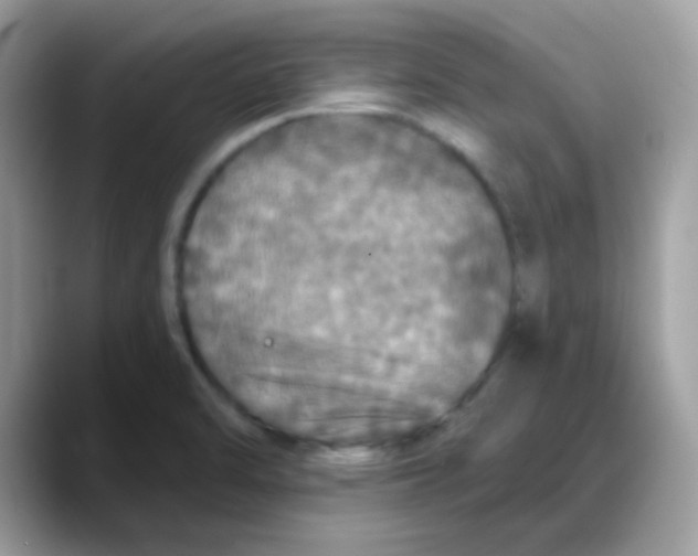 X0000088141470200706111416