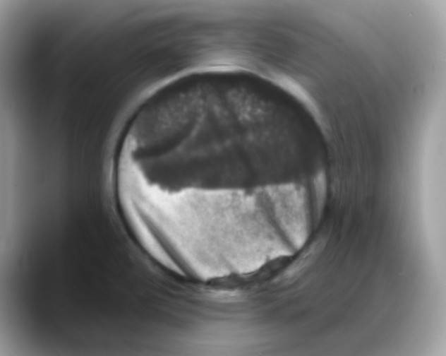 X0000088141472200706111416