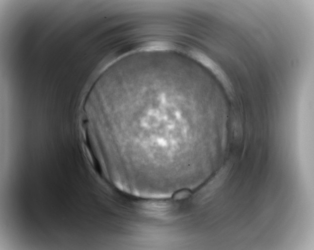 X0000088141473200706111416