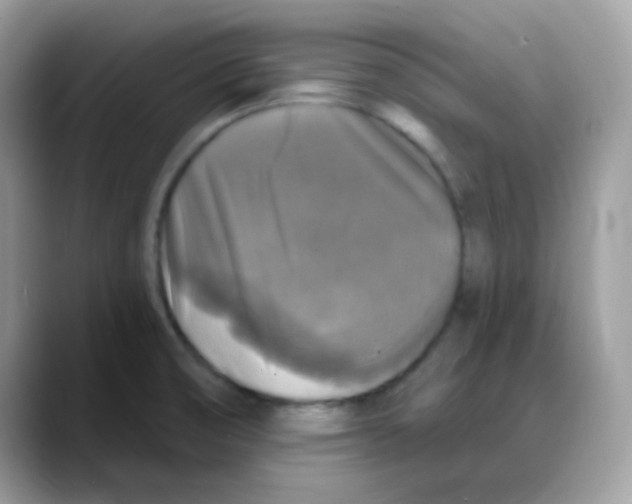 X0000088141474200706111416